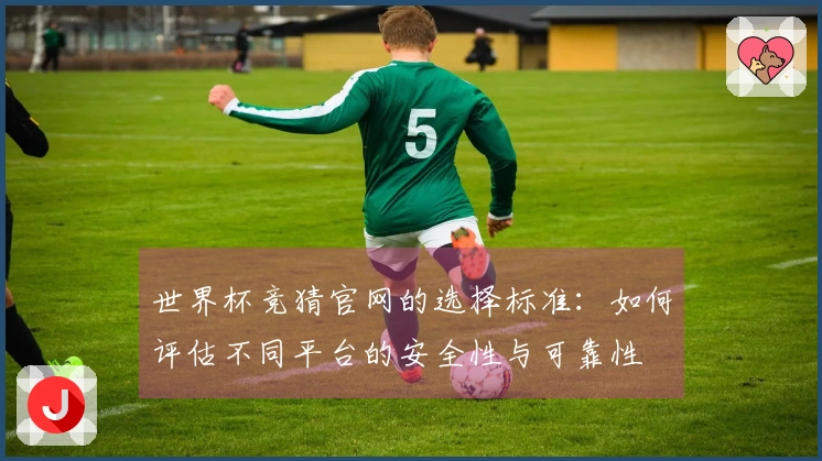 世界杯竞猜官网的选择标准：如何评估不同平台的安全性与可靠性