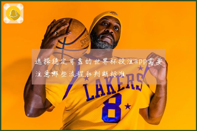 选择稳定可靠的世界杯投注app需要注意哪些流程和判断标准