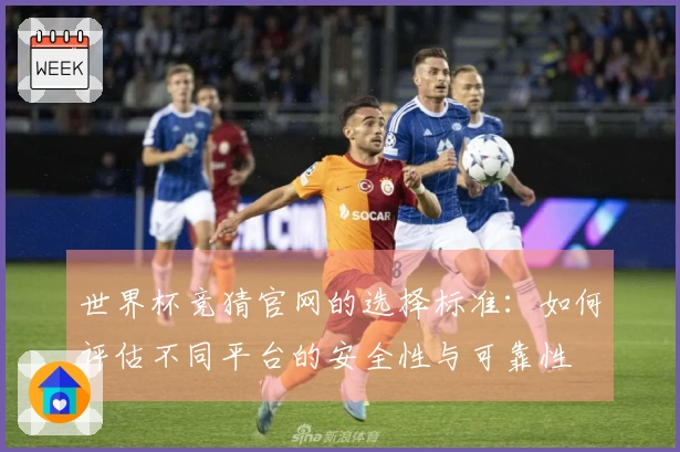 世界杯竞猜官网的选择标准：如何评估不同平台的安全性与可靠性