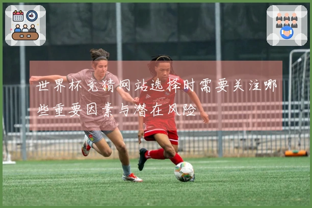 世界杯竞猜网站选择时需要关注哪些重要因素与潜在风险