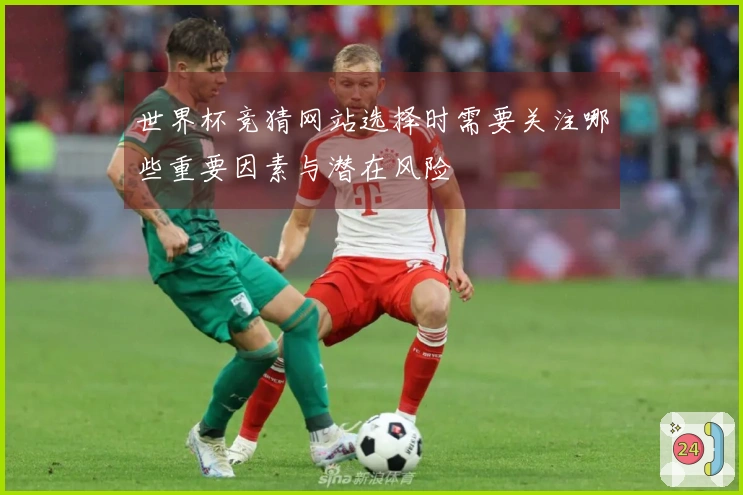 世界杯竞猜网站选择时需要关注哪些重要因素与潜在风险